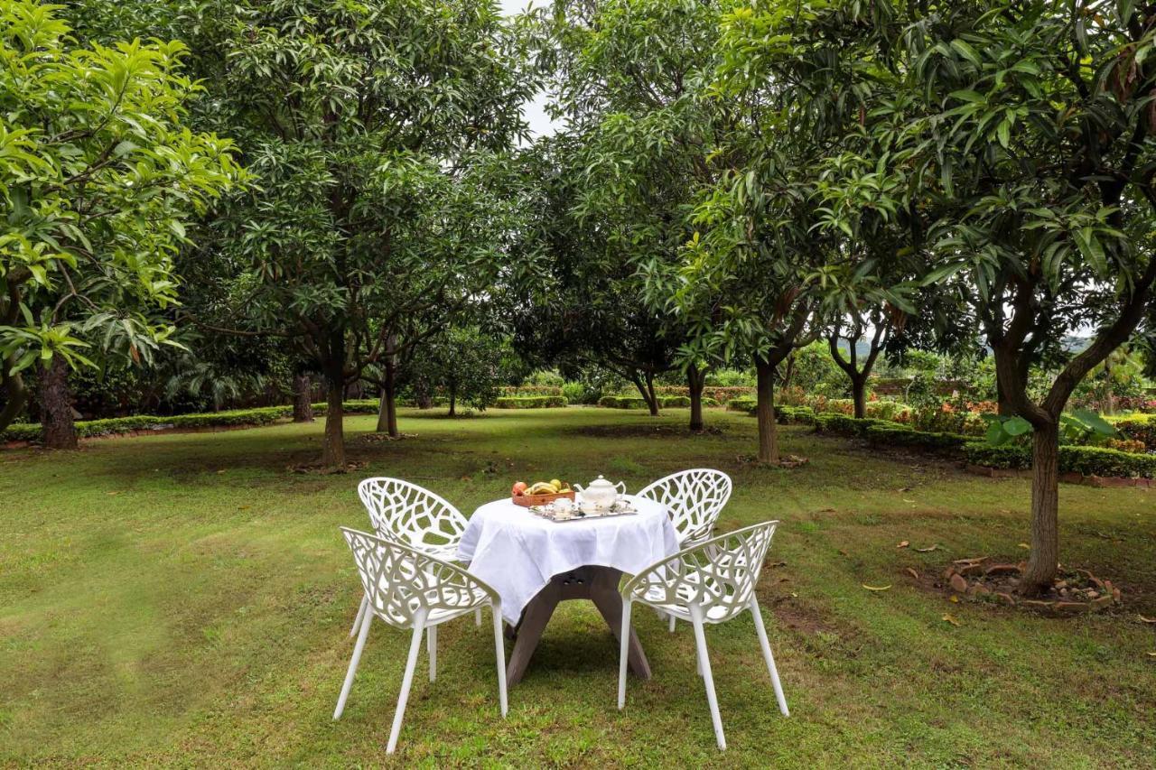 Stayvista'S Prakriti Farms With Outdoor Pool, Complimentary Breakfast And Hi-Tea Udaipur Eksteriør bilde